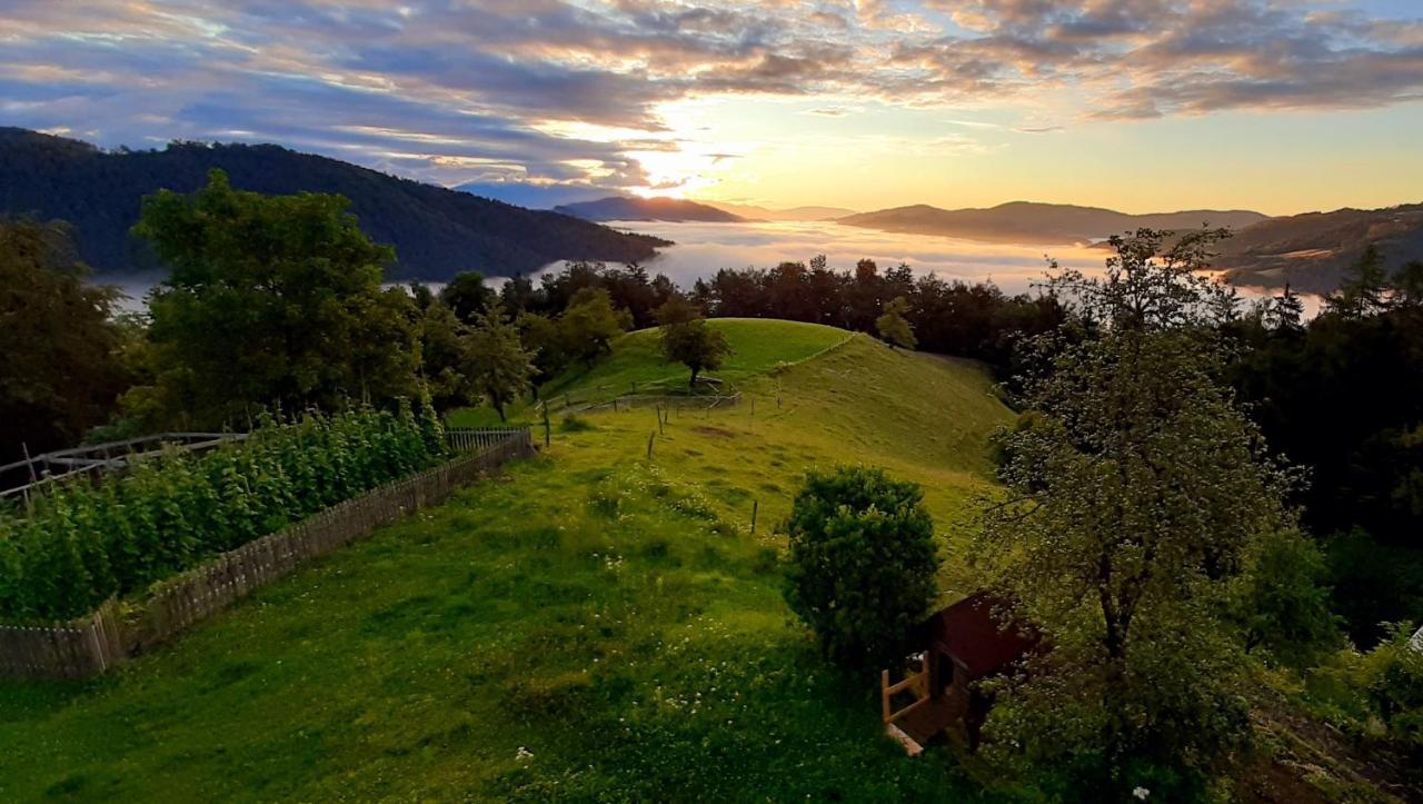 Healing Farm Appartement Gorenja Vas  Buitenkant foto