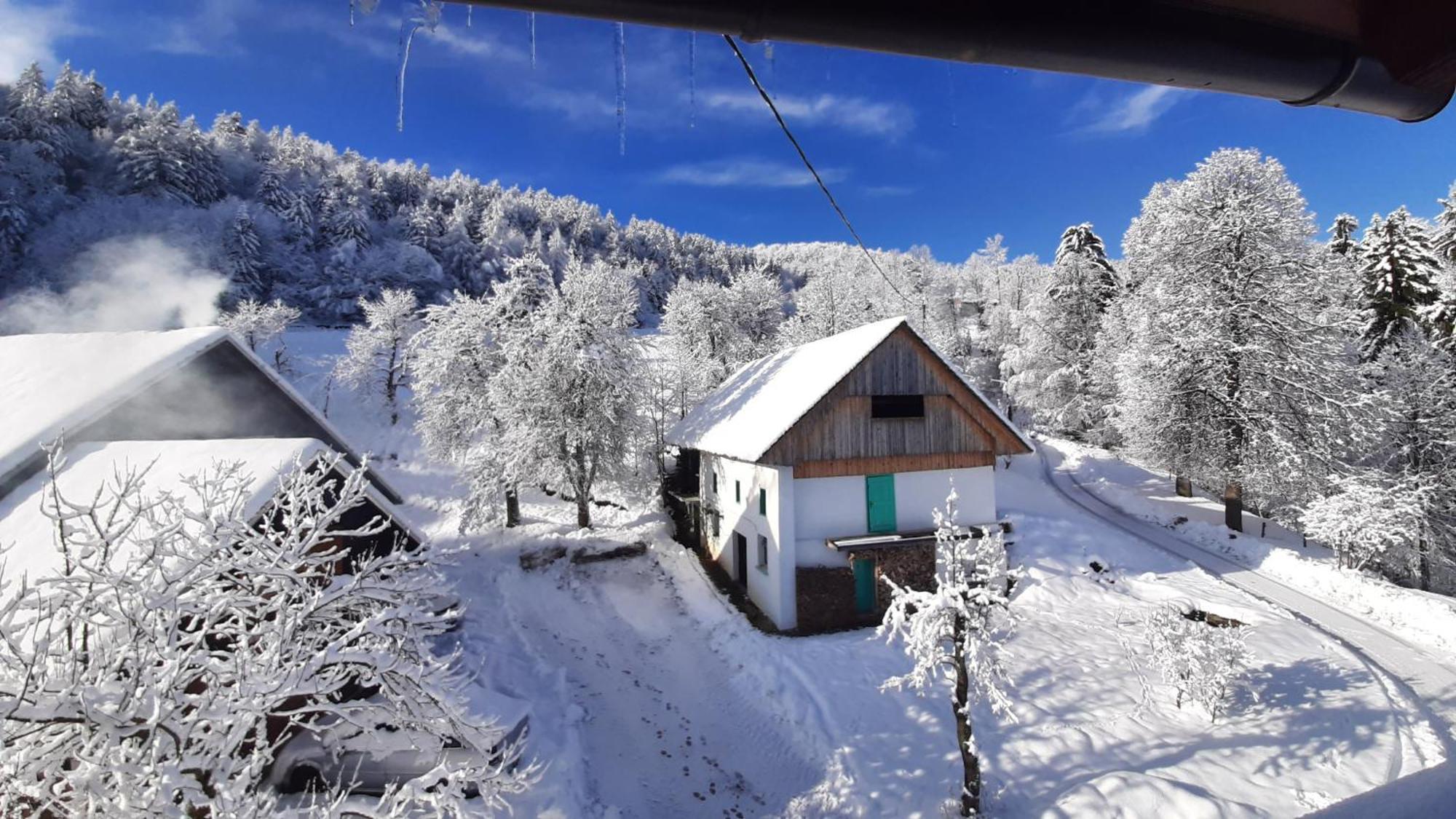 Healing Farm Appartement Gorenja Vas  Buitenkant foto