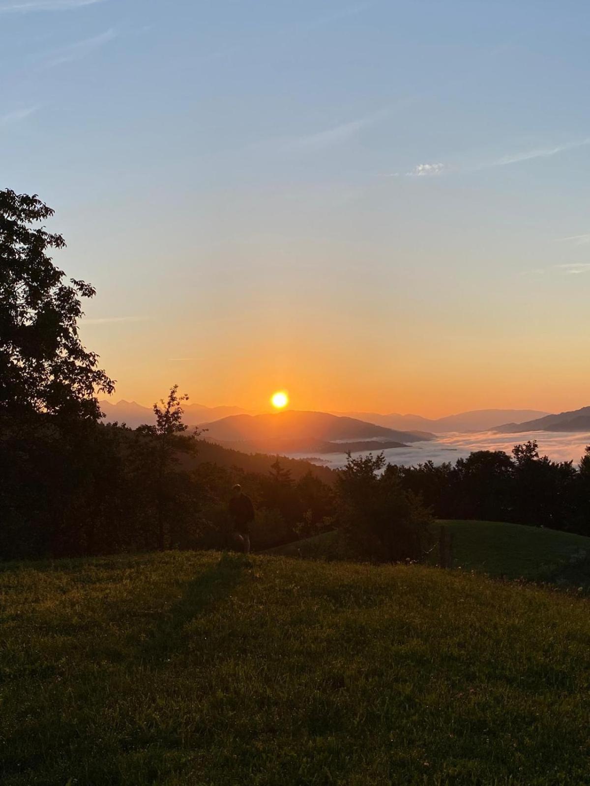 Healing Farm Appartement Gorenja Vas  Buitenkant foto