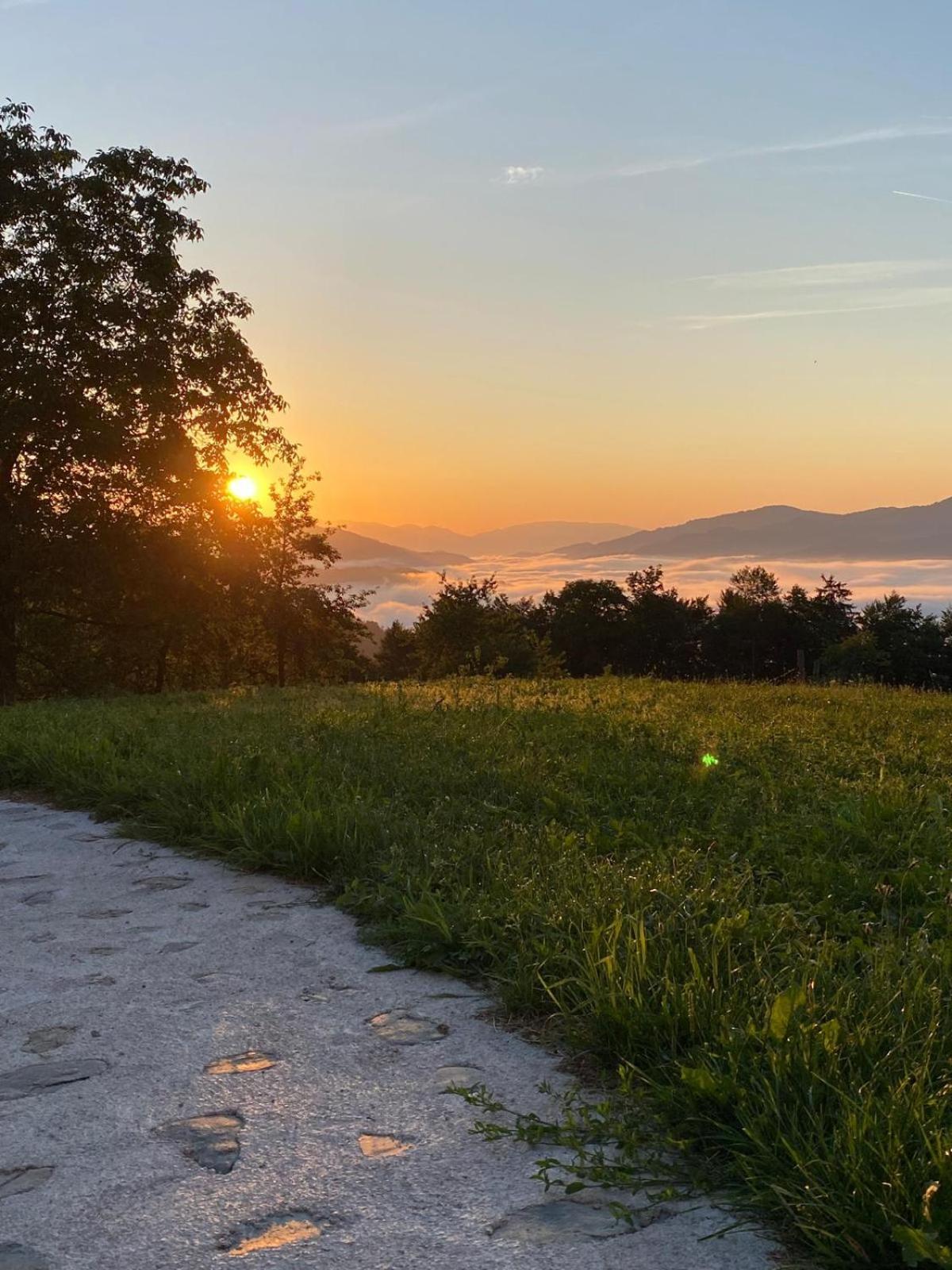 Healing Farm Appartement Gorenja Vas  Buitenkant foto