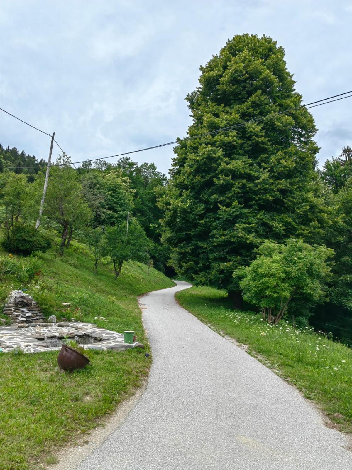 Healing Farm Appartement Gorenja Vas  Buitenkant foto